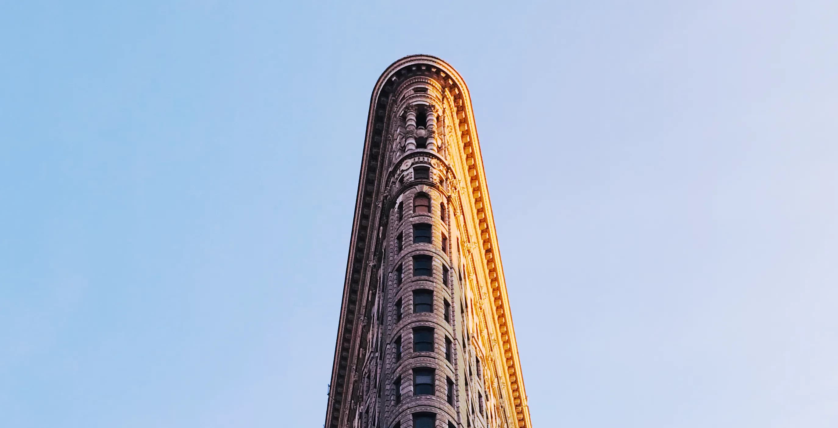 Letting go of fear and embracing the pivot